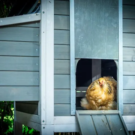 Mergelhuisje Anno 1799 Tatil Evi *