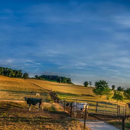 Vakantiehuis Mergelhuisje Anno 1799 *
