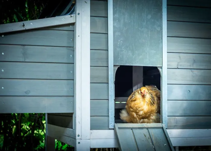 Mergelhuisje Anno 1799 Ferienhaus *