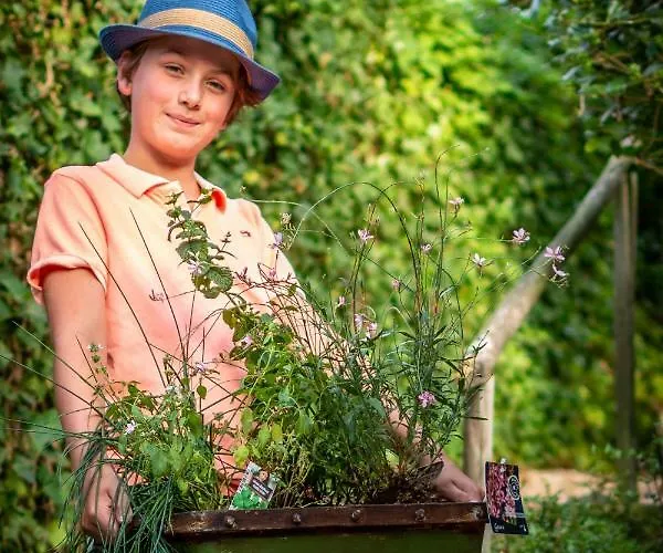 Mergelhuisje Anno 1799 * 法尔肯堡